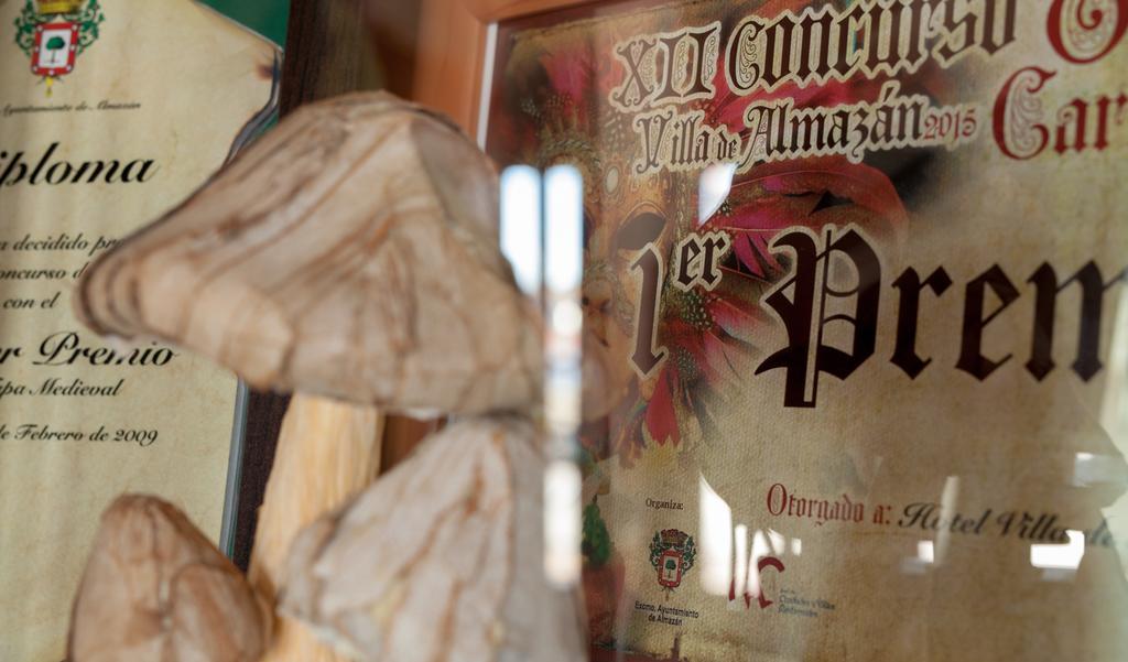 阿尔马桑别墅酒店 Almazán 外观 照片