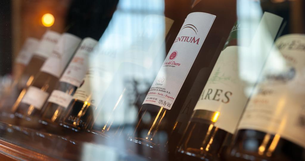阿尔马桑别墅酒店 Almazán 外观 照片