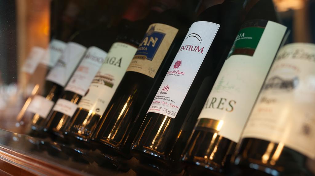 阿尔马桑别墅酒店 Almazán 外观 照片