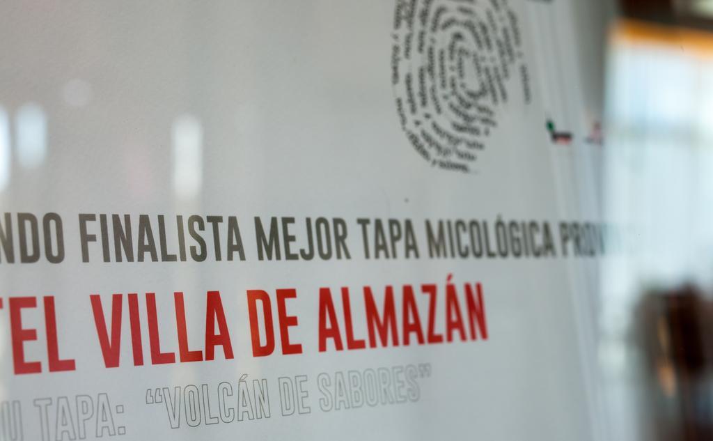 阿尔马桑别墅酒店 Almazán 外观 照片